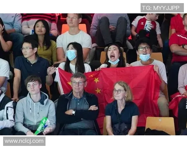 南京羽毛球队比赛经验引发热议球迷对战术与表现的不同看法